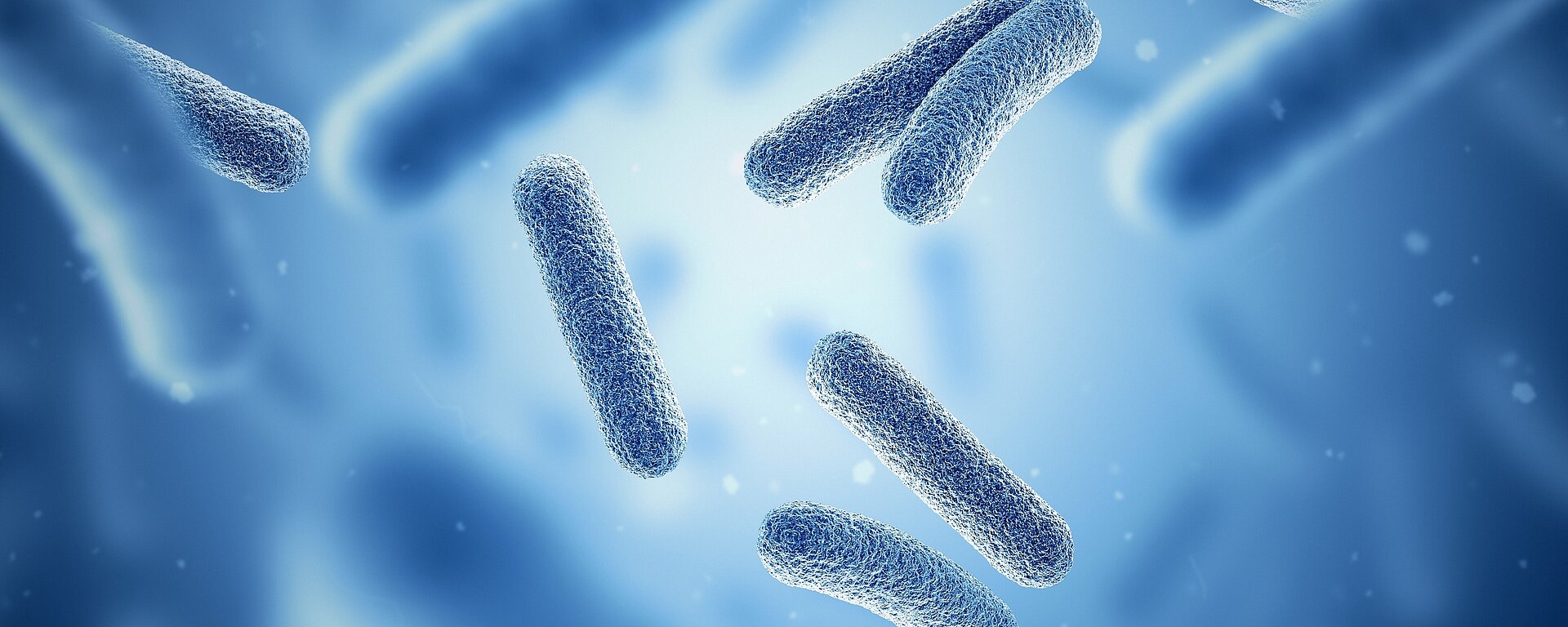 3D Illustration von Bakterien und Mikroorganismen auf einem blauen Hintergrund