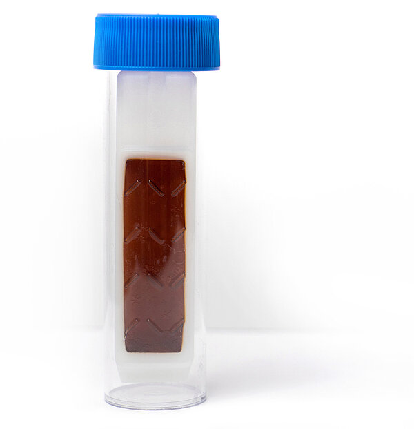 Eine Petrischale, in der eine Kultur wächst